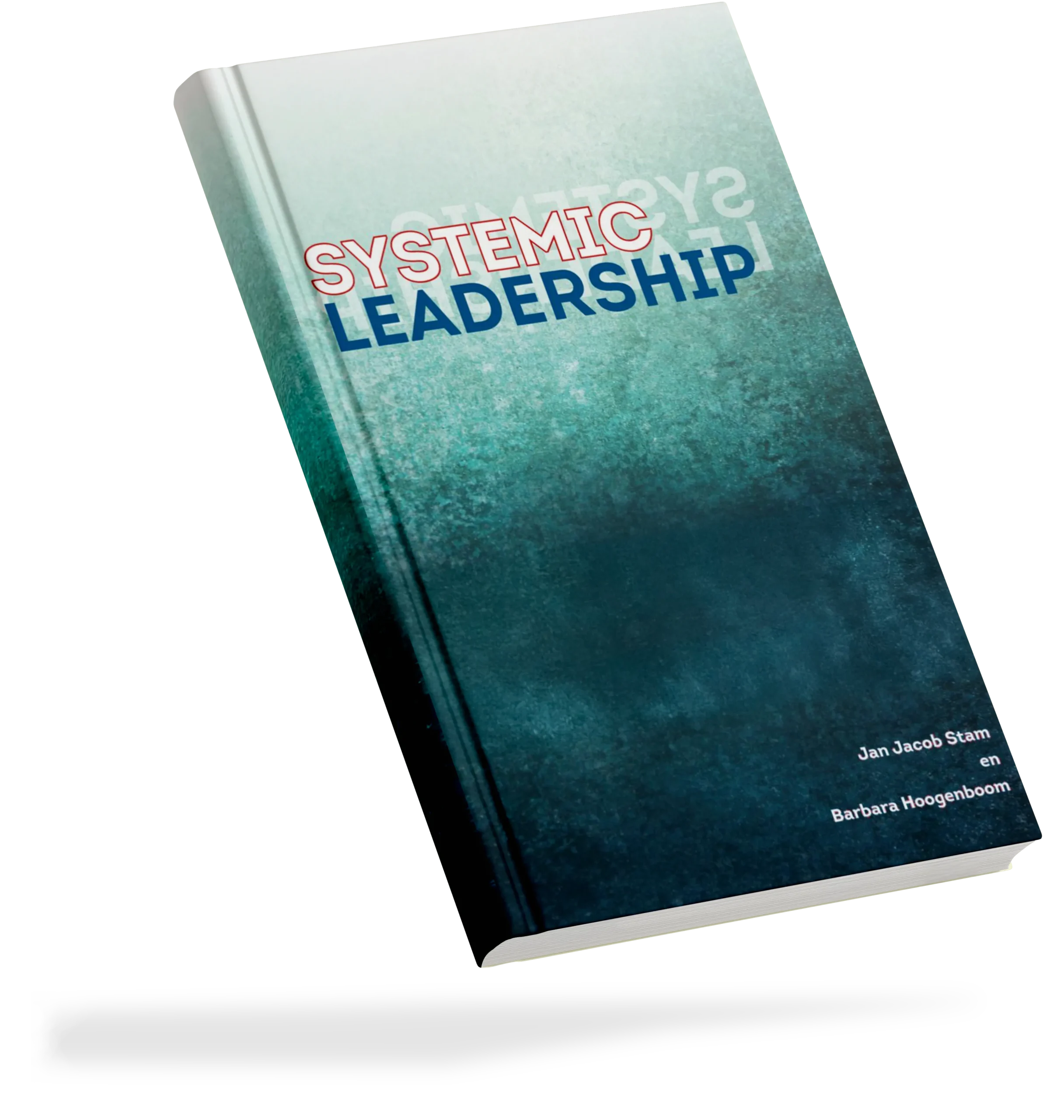 systemic-leadership