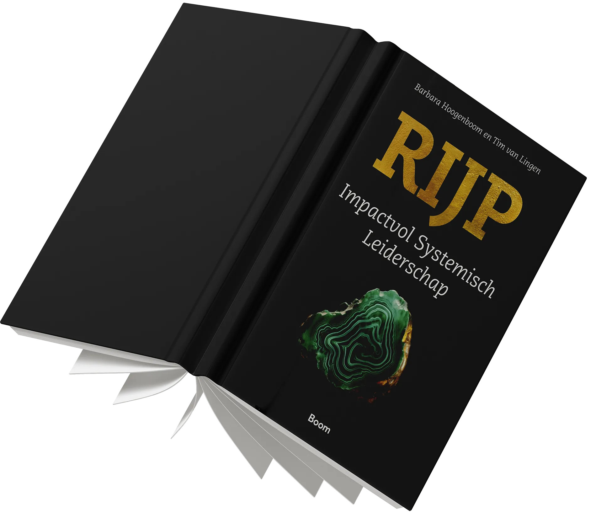 book-cover-rijp-barbara-hoogenboom