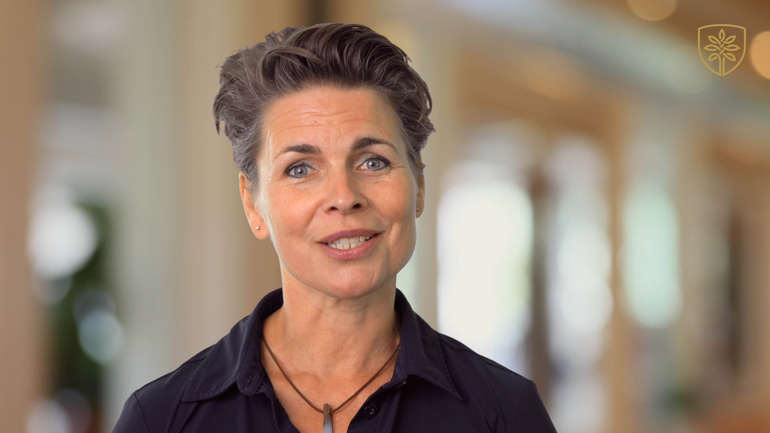 Systemisch leiderschap in vogelvlucht